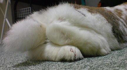 110213_2.jpg
