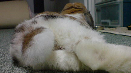 110213_3.jpg