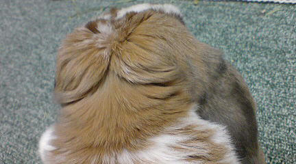 110213_4.jpg
