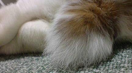 110213_7.jpg
