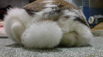 110213_8.jpg