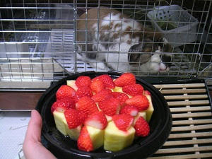 20110328_1.JPG
