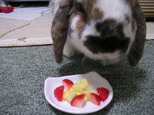 20110328_2.JPG