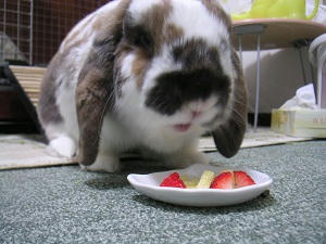20110328_3.JPG