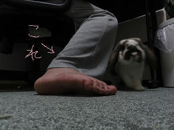 20010331_1.JPG