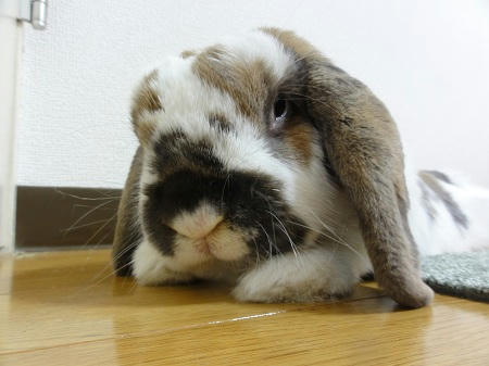 20110428_3.JPG