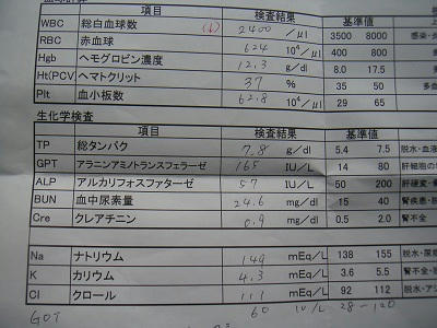 20110502_3.jpg