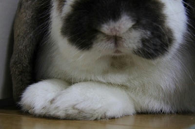 20110507_2.JPG