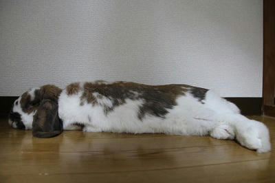 20110508_2.JPG