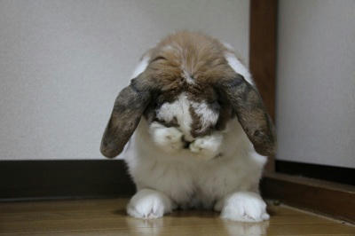 20110509_1.JPG