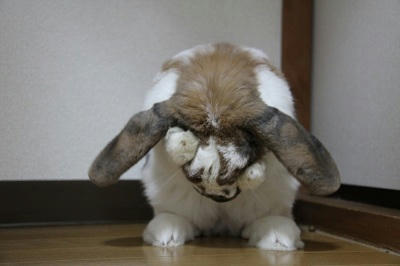 20110509_2.JPG