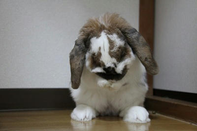 20110509_3.JPG