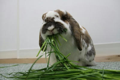 20110513.JPG