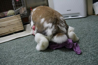 20110514_8.JPG