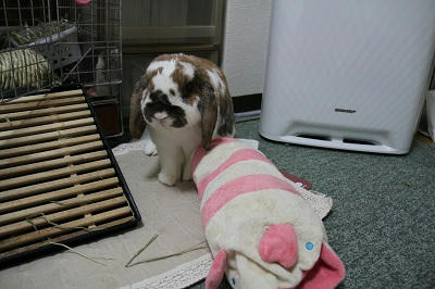 20110514_6.JPG