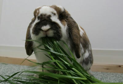 20110514_7.JPG