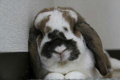 20110514_4.JPG