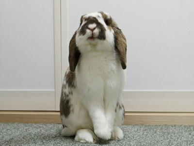 20110519_3.jpg