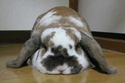 20110508_3.JPG