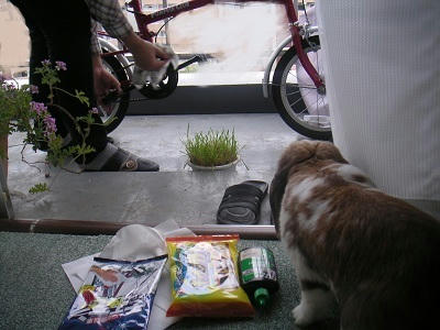 20110528.jpg