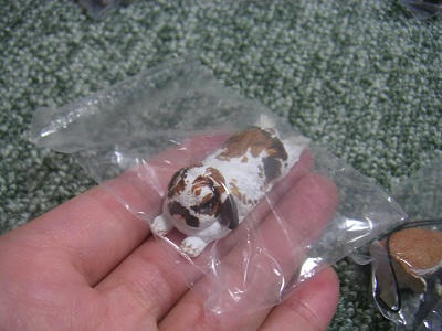 20110610_4.jpg