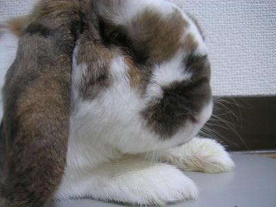 20110612_1.JPG