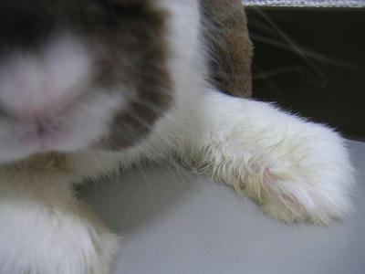 20110612_2.JPG