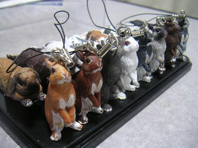 20110617_7.JPG