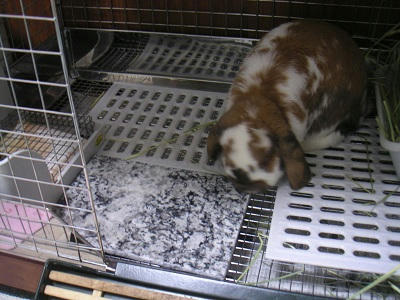 20110625_3.JPG