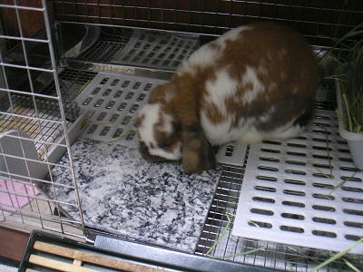 20110625_4.JPG