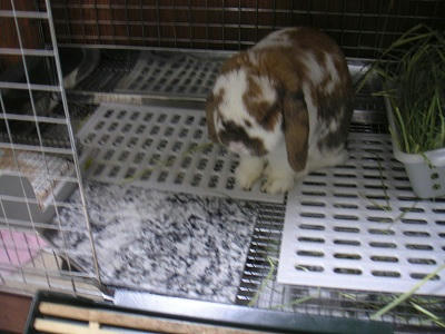 20110625_5.JPG