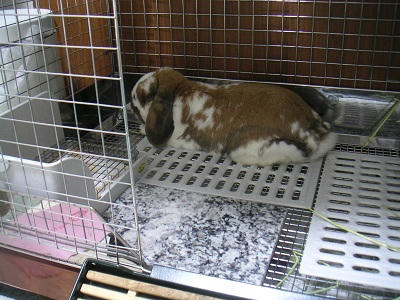 20110625_6.JPG