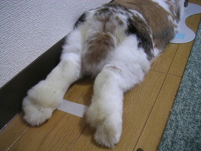 20110625_9.JPG