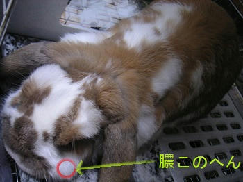 20110829_6.JPG