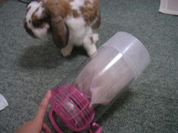 20110907_3.JPG