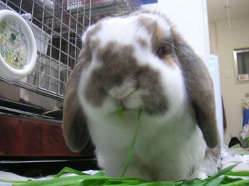 20110916_2.JPG