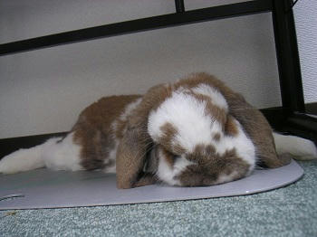 20110918_1.JPG