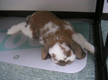 20110918_3.JPG