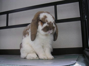 20110918_5.JPG