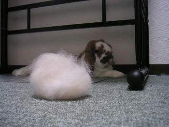 20110925.JPG