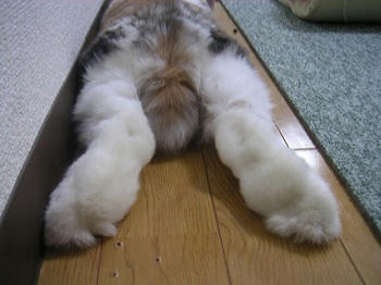 20110929_1.JPG