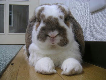 20110929_2.JPG