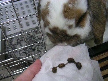 20111004.JPG