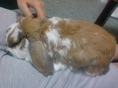 20111015_1.jpg