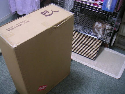 20111016_2.JPG