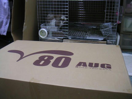 20111016_3.JPG