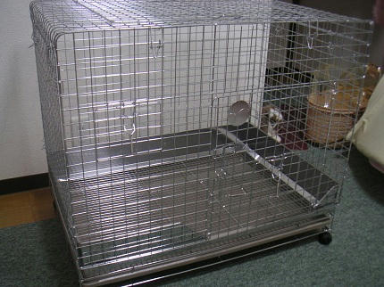 20111016_5.JPG