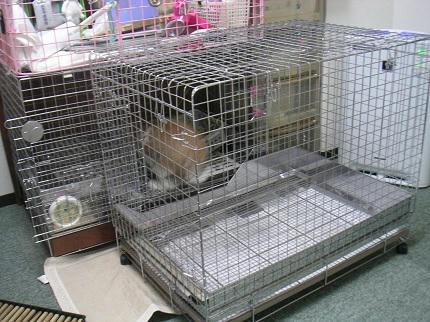 20111016_7.JPG