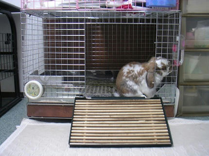 20111016_8.JPG