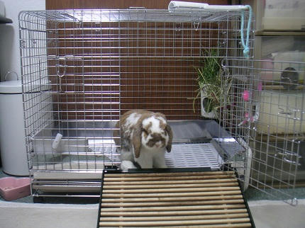 20111016_9.JPG